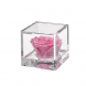Flowercube rosa rosa 8x8