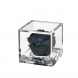 Flowercube Rosa stabilizzata Colore nero 8x8 cm