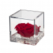 Flowercube rosa rossa 10x10