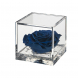 Flowercube rosa blu 10x10