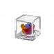 Flowercube rosa arcobaleno 6x6