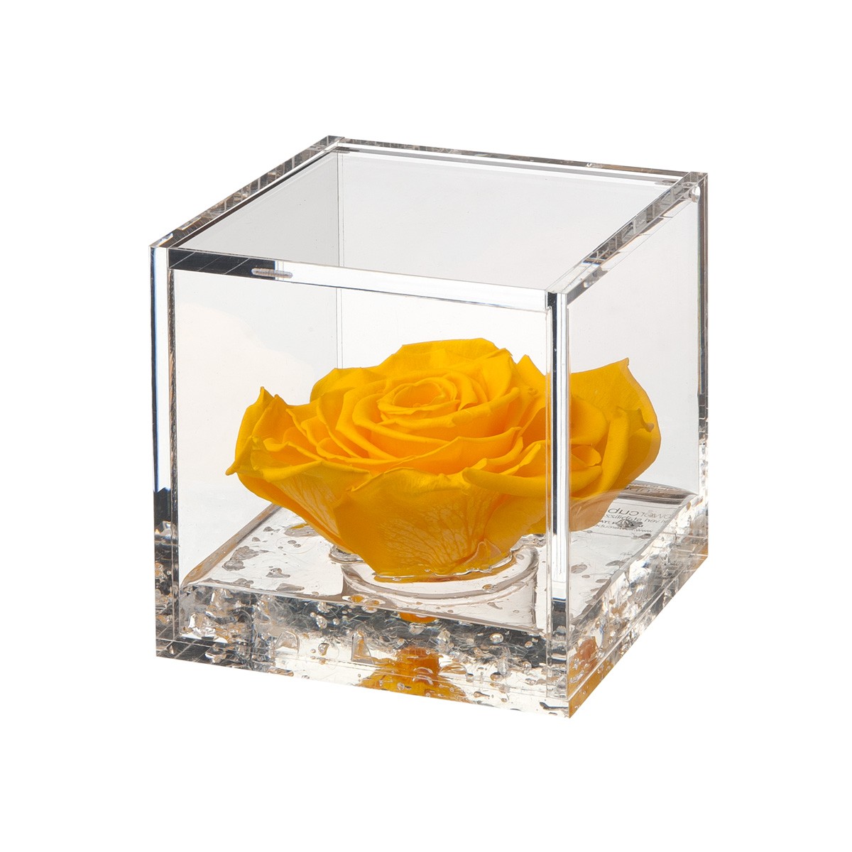 2 pezzi per acquario, vaso in vetro per acquario, vaso per piante con ventose, supporto per piante acquatiche, accessori per acquario e pesci per varietà di vegetazione acquatica